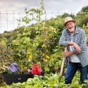 Wózek transportowy ogrodowy taczka wywrotka 75L 200 kg duże pompowane koła MultiGarden MultiGarden